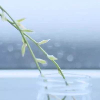 屠龙志手游下载